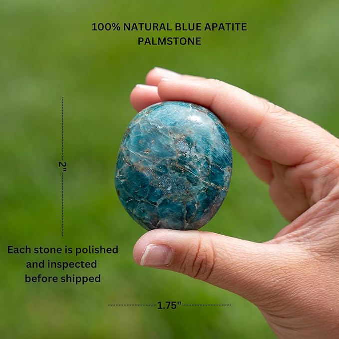 TruEnergy Blue Apatite Palm Stone - 2"