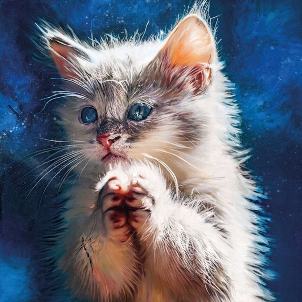 the album cover for Pdqb - Pussy Disco: The Sunrise Sessions