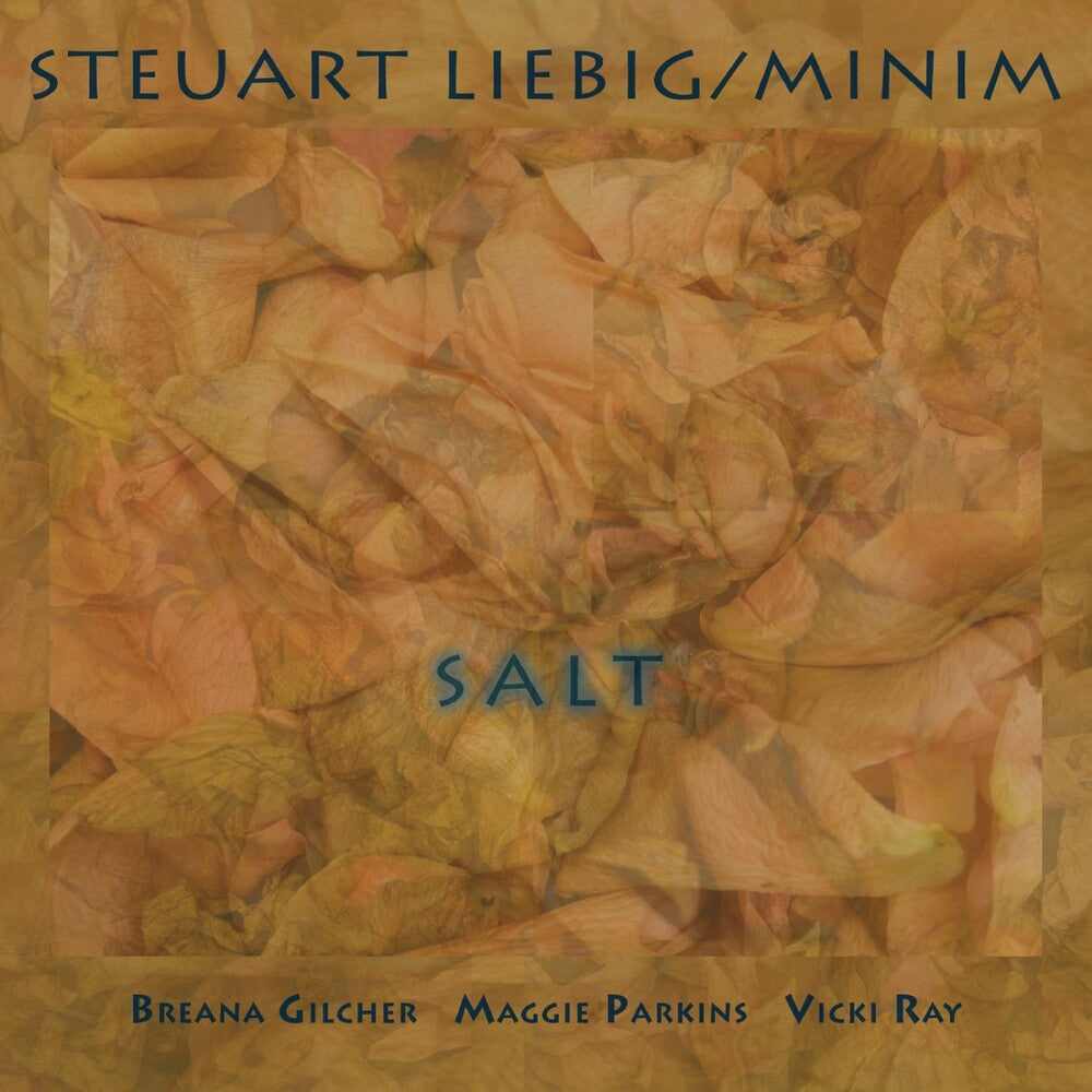 the album cover for Steuart Liebig / Minim - Salt