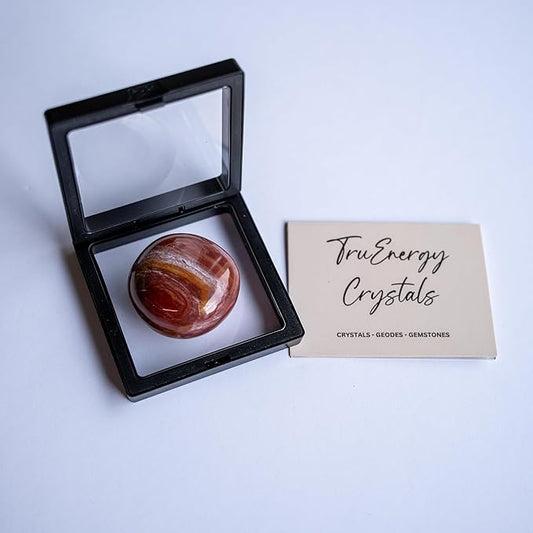 TruEnergy Petrified Wood Palm Stone - 2"