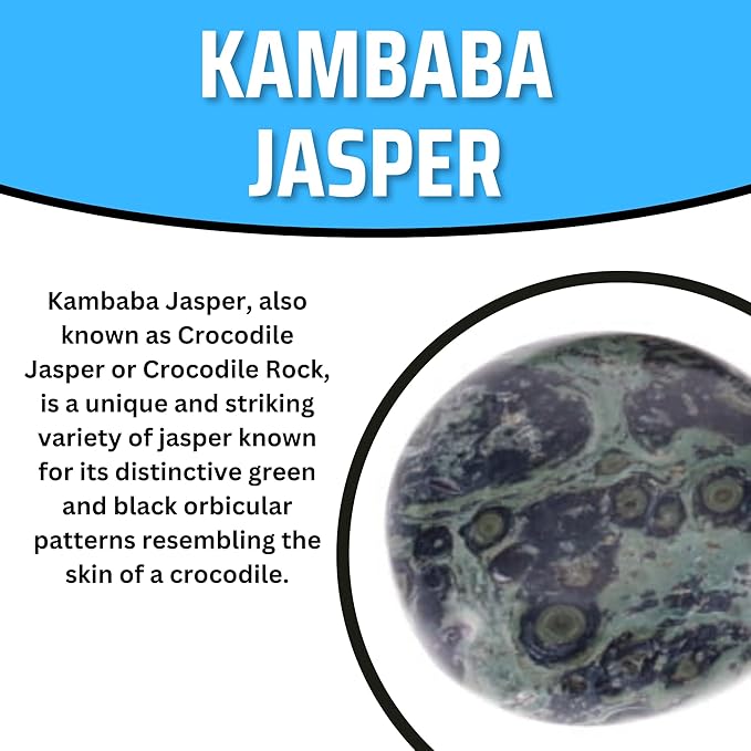 TruEnergy Kambaba Jasper Palm Stone - 2"