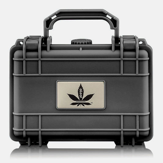 aLeaf 7" Medium Hard Case - Black