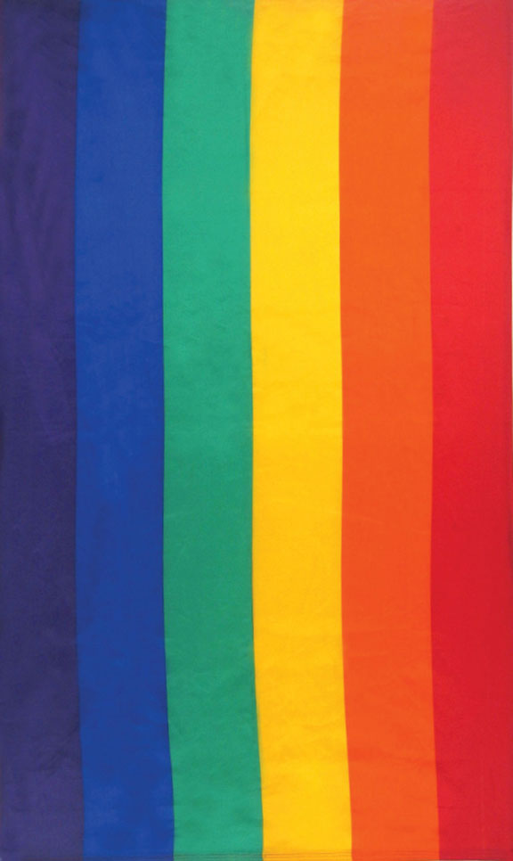 Gay Pride Flag Tapestry SALE