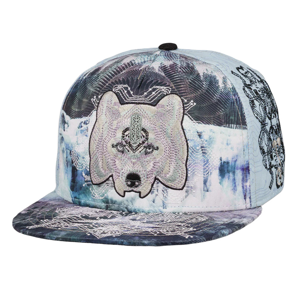 Grassroots California Digital Migration Green Snapback Hat