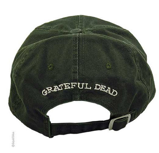 Grateful Dead Alumni Tour Bolt Green Hat SALE