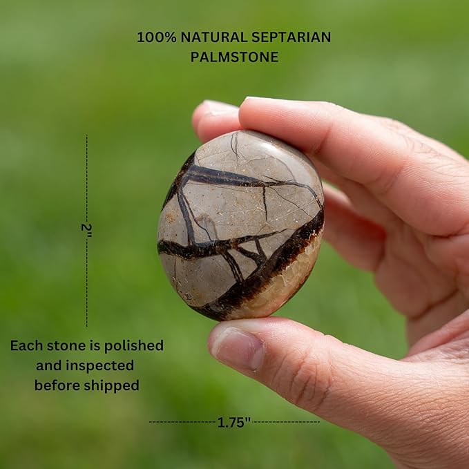 TruEnergy Septarian Palm Stone - 2"