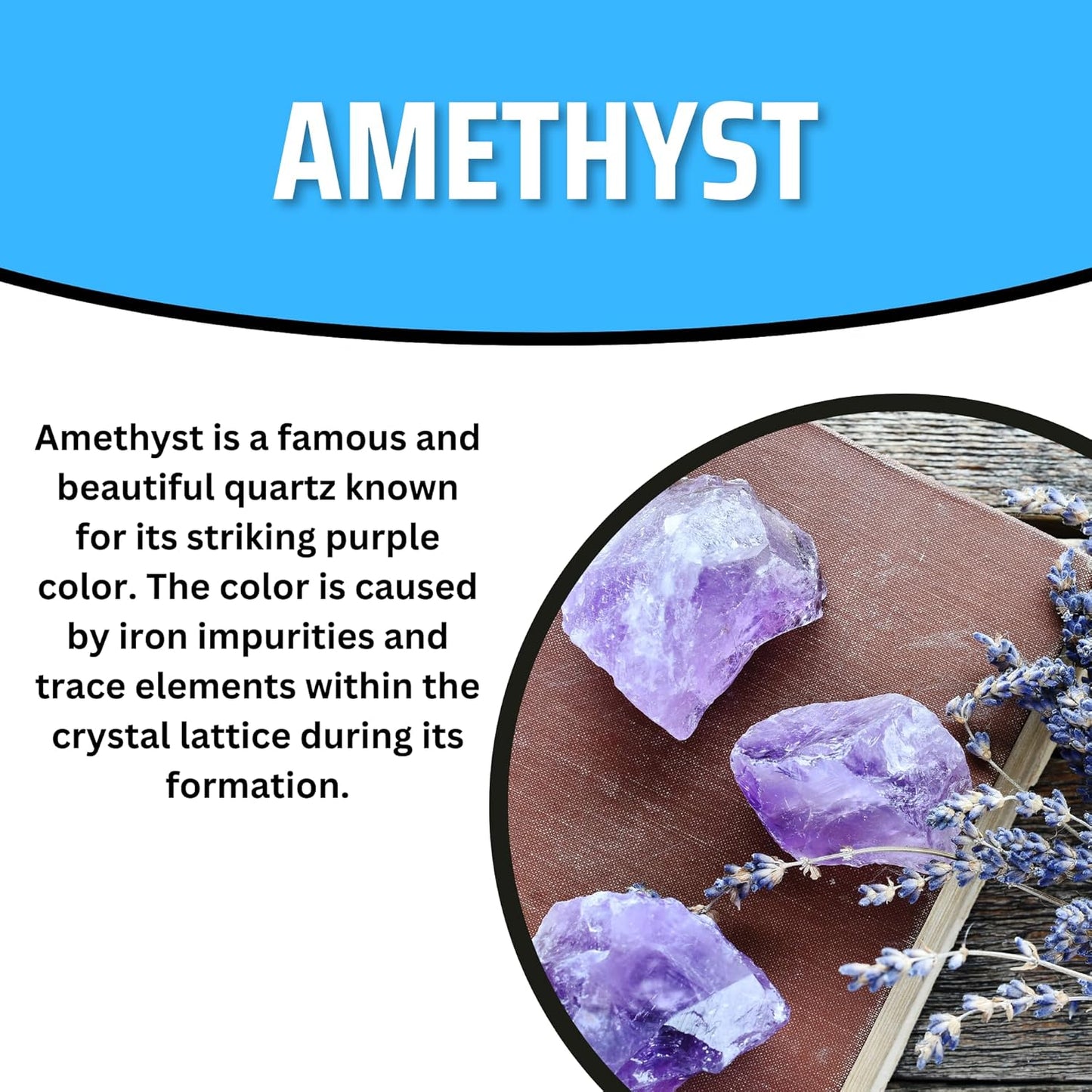 TruEnergy Amethyst Palm Stone - 2"-3"