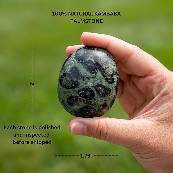TruEnergy Kambaba Jasper Palm Stone - 2"