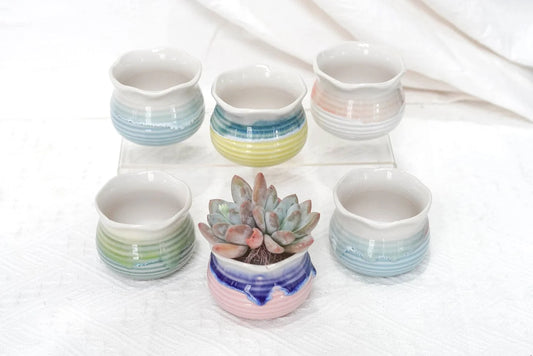Glazed Colorful Lotus Pot in Assorted Colors