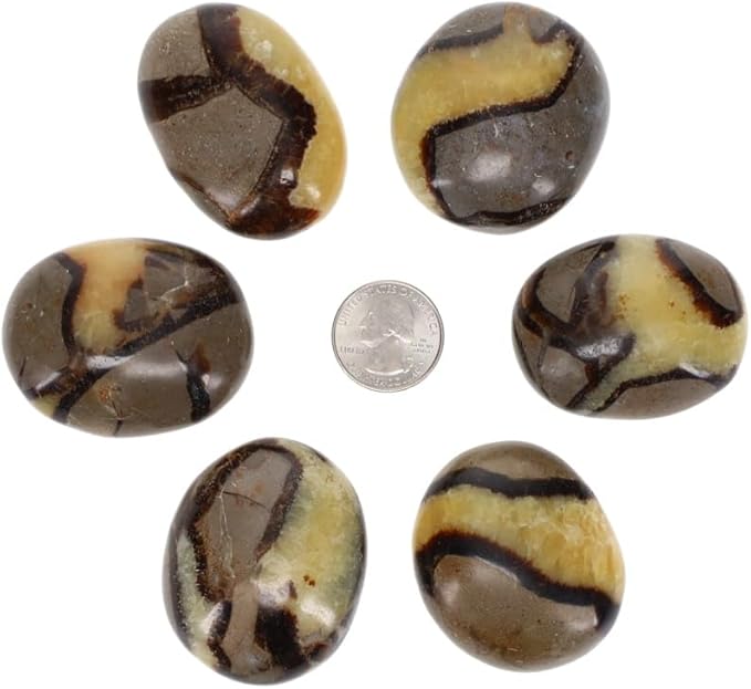 TruEnergy Septarian Palm Stone - 2"