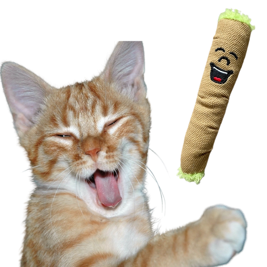 PAW:20 Catnip Cat Toy - Lil' B the Blunt