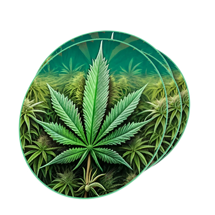 Leafy Greens Sticker - 2"