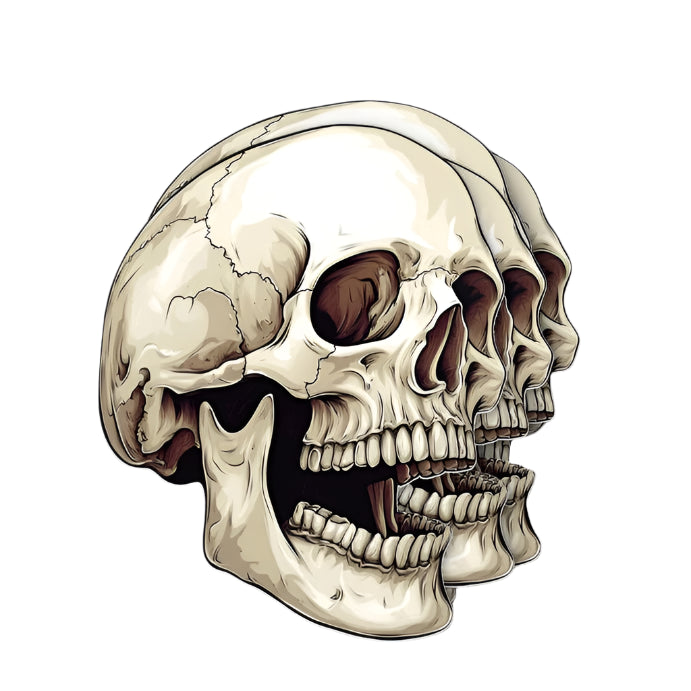 Classic Skull Sticker - 2"