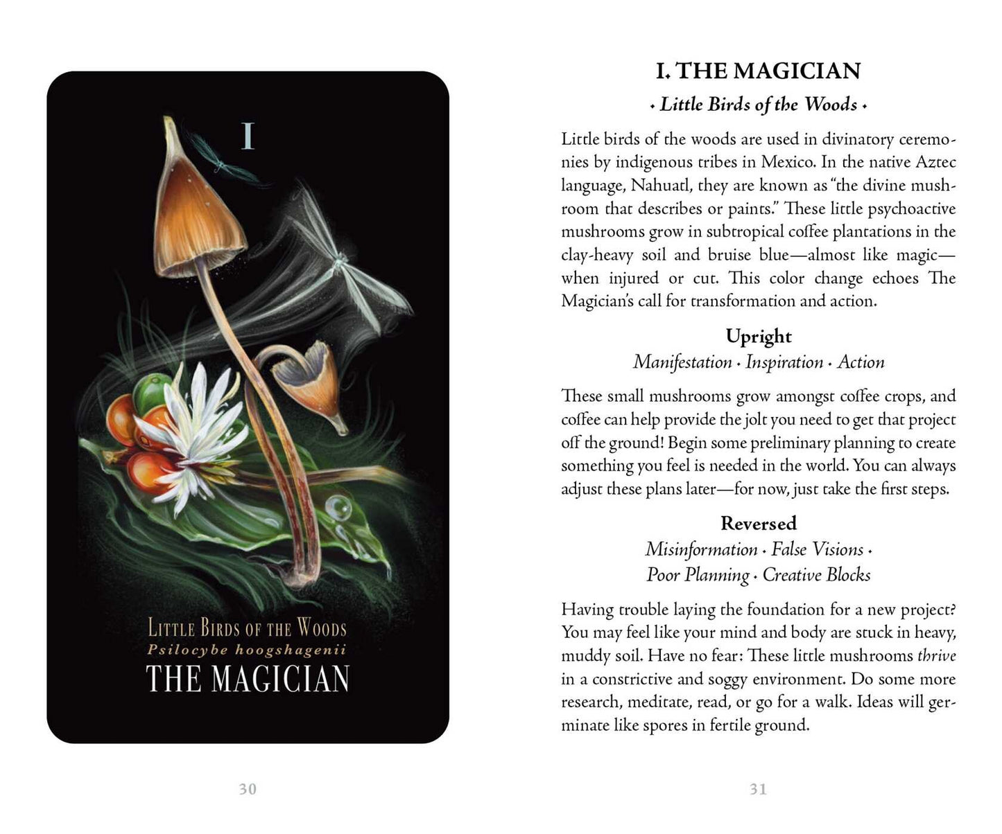 Midnight Magic Tarot Deck