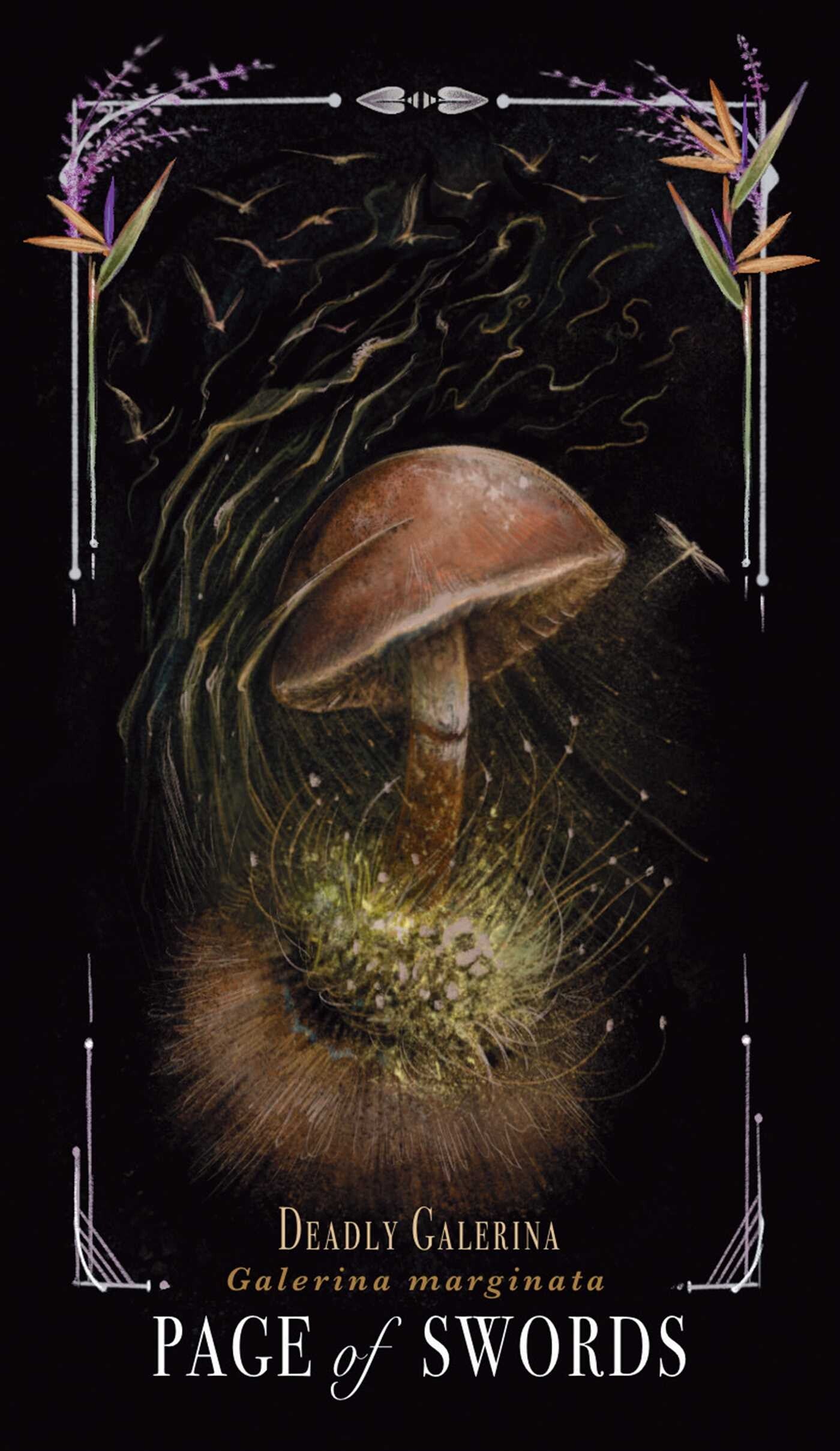 Midnight Magic Tarot Deck