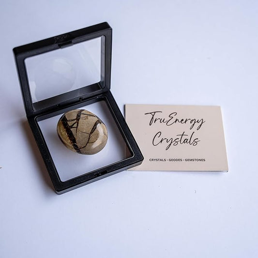 TruEnergy Septarian Palm Stone - 2"