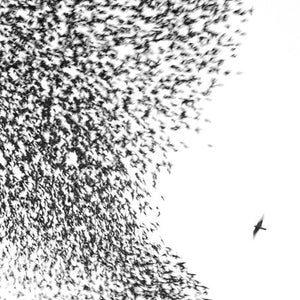 Wilco - Sky Blue Sky [LP]
