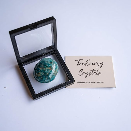 TruEnergy Blue Apatite Palm Stone - 2"