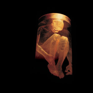 Alice In Chains - Nothing Safe: Best of [CD]