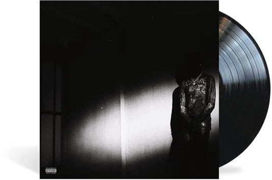 the album cover for Destroy Lonely - NO STYLIST [LP]