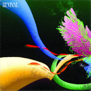 Judah & the Lion - Revival [CD]