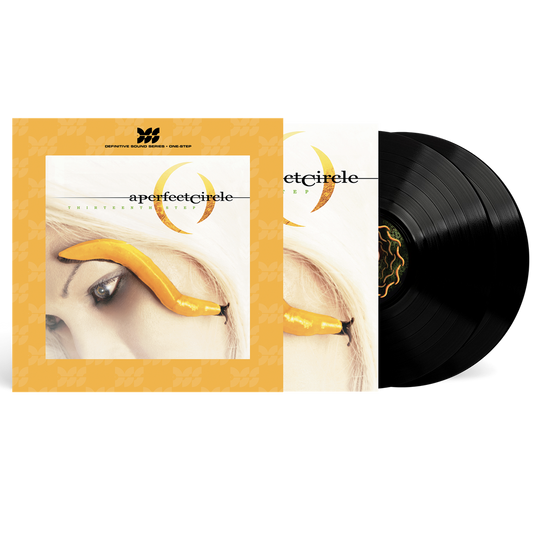 the album cover for A Perfect Circle - Thirteenth Step [Definitive Sound Series 180g]