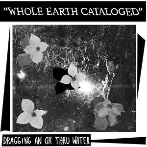 Dragging an Ox through Water - Whole Earth Catalogued [LP]