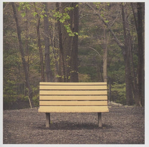 Streetlight Manifesto - Hands That Thieve [Colored Vinyl] [Reissue]