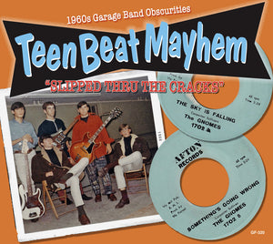 Teenbeat Mayhem / Various - Teenbeat Mayhem / Various [CD]