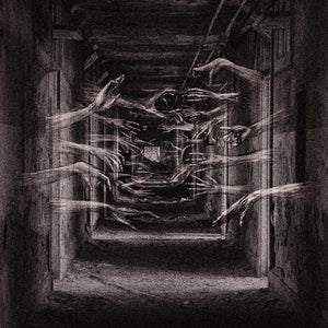 Demonic Possessor - Porous Chambers [LP]