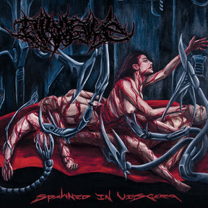 Divulsive - Spawned in Viscera [CD]