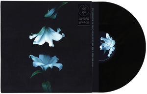 Pre-Order: Wasia Project - Nocturne [LP]