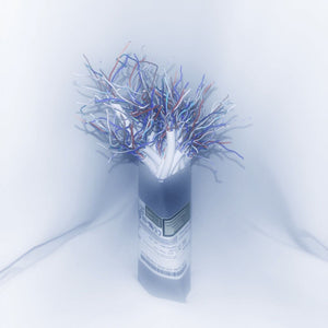 Pre-Order: Cd Ghost - When The Rain Stops [Ultra Clear]