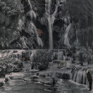 Lambchop - Punching the Clown [Indie Exclusive Frosted Clear]