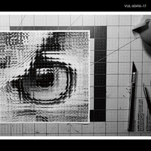 Sakanaction - Adapt (180g/2lp) [LP]