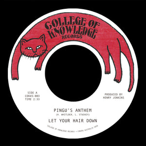 Let Your Hair Down - Pingu's Anthem B/W Gronk [7" Vinyl]