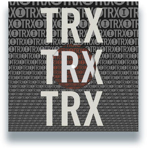 Various Artists - Toolroom Trax Sampler Vol. 4 [12" Vinyl]