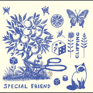 Special Friend - Clipping [LP]