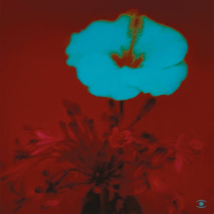 John Beltran - Sunrise & the Way We Live [2LP]