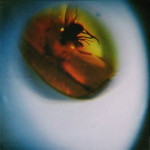 April + VISTA - Traditional Noise [Translucent Fly Green]