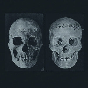 Government Alpha - Human Race Was Restored To Life Repeatedly [LP]