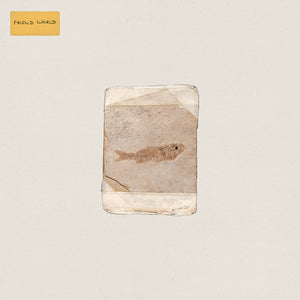 Pre-Order: Do Nothing - Friend World [CD]