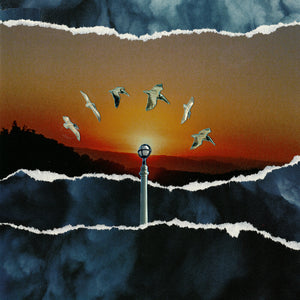 Pre-Order: Daisyhead - If You Find It Let Me Know [Colored Vinyl]