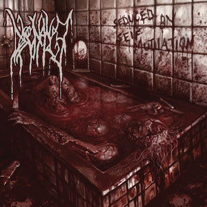 Pre-Order: Dissonance - Seduced By Self-Mutilation [CD]