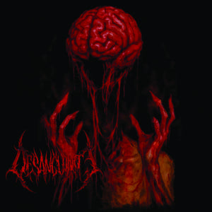 Pre-Order: Desanguinate - Desanguinate [LP]