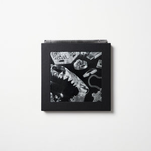Lex XX - Lex XX [180 Gram + Book]