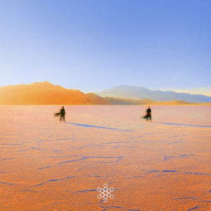 Praana - Insight Out [Colored Vinyl]