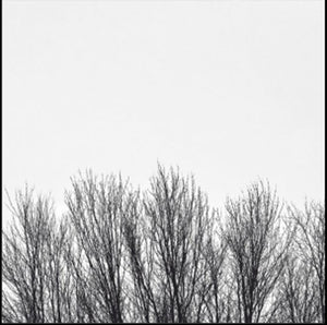 Pre-Order: Northwoods Improvisers - White Sky [CD]