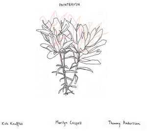 Pre-Order: Kirk Knuffke - Paintbrush [CD]