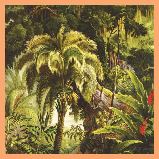 the album cover for Xiu Xiu - La Foret - Jade Eco-Mix [Colored Vinyl]